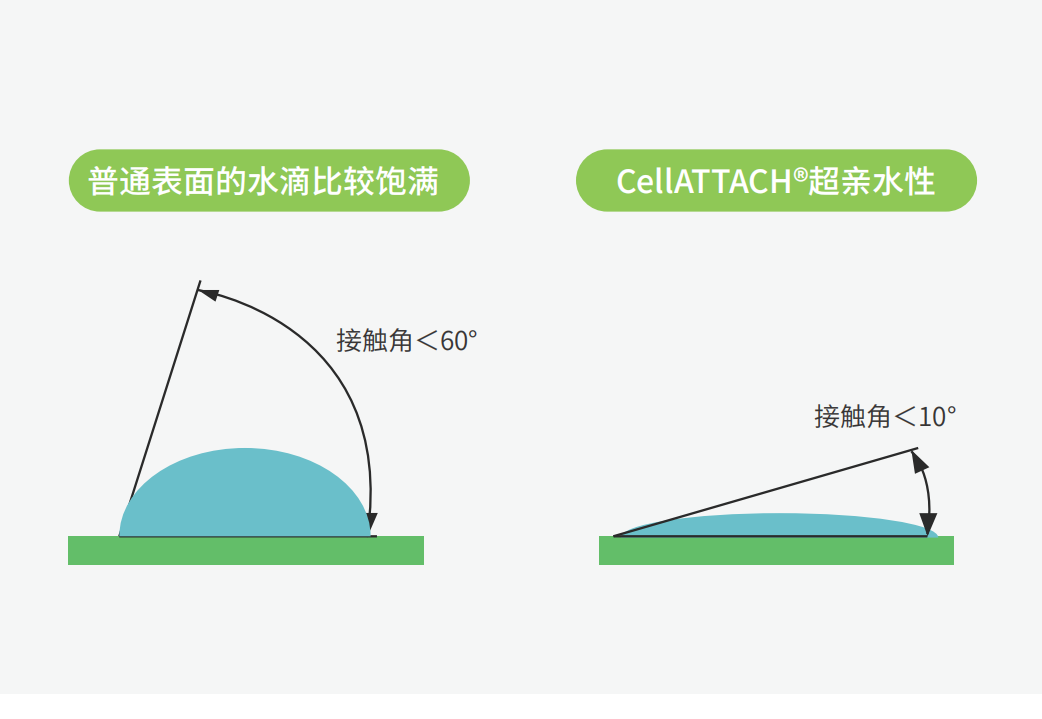 独特的超亲水表面处理技术，能为细胞提供更好的吸附性，促进细胞快速贴壁生长，提高产量